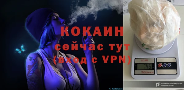 каннабис Новозыбков