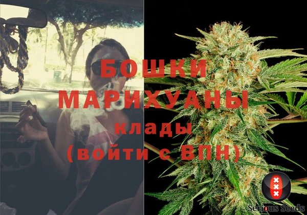 каннабис Новозыбков