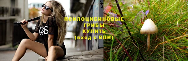 мескалин Новодвинск