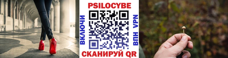 Псилоцибиновые грибы мицелий  Магнитогорск 