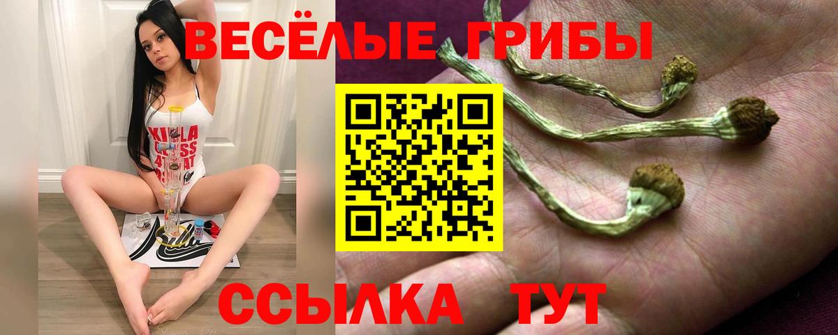 Галлюциногенные грибы Magic Shrooms Магнитогорск